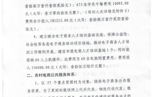 电子商务专业村申请表