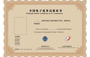 电子商务专业的能考什么证书