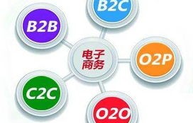 会计学电子商务专业类别