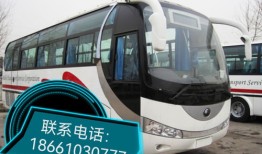 东部汽车站商务车多少钱（东部客运站买票）