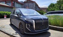 红旗汽车商务车7座价格（红旗商务七座车图片报价）
