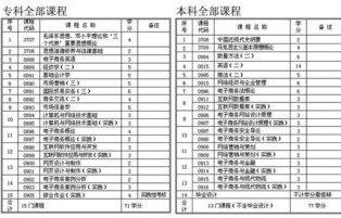 电子商务专业课程顶替表