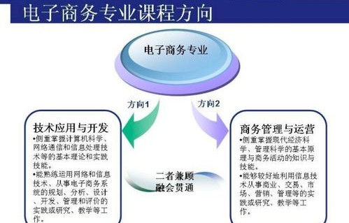 电子商务类考研专业课程