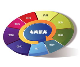 蜂农电子商务是什么专业