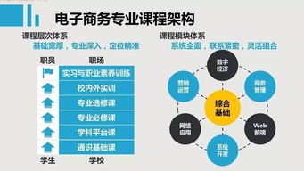 电子商务属专业课程嘛